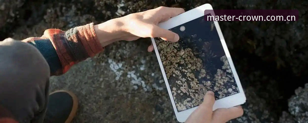 皇冠体育iOS安装包安全吗：v2.0.5版本安装与数据防护详解